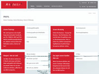 Profil | Maxpert neue Website